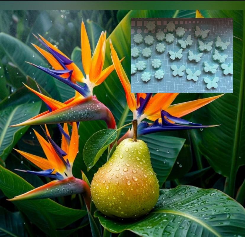 Fondant parfumée ; oiseau de paradis