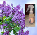 Sprays ambiance : lilas