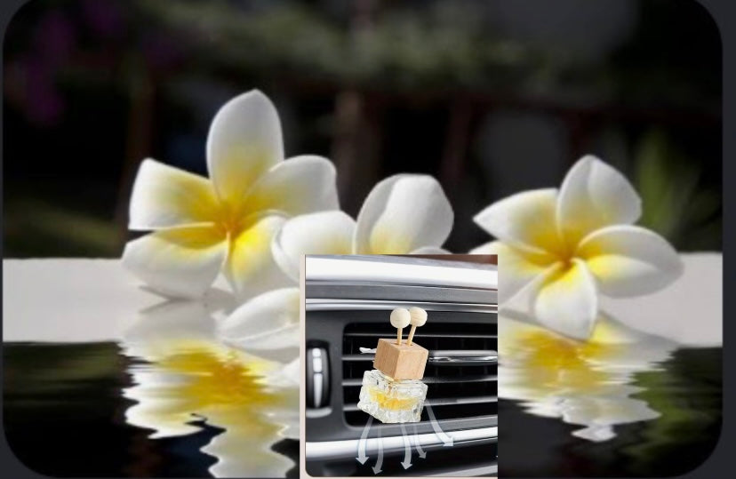 Parfum voiture : Monoï