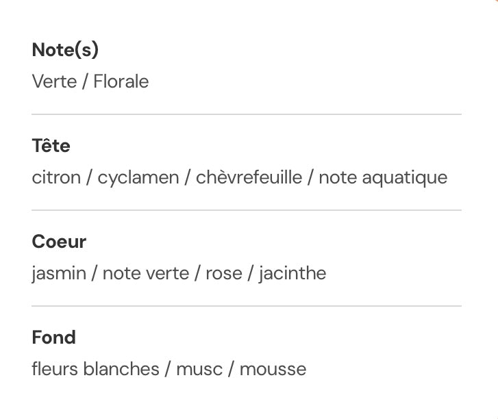 Bougie parfumée : gémeaux