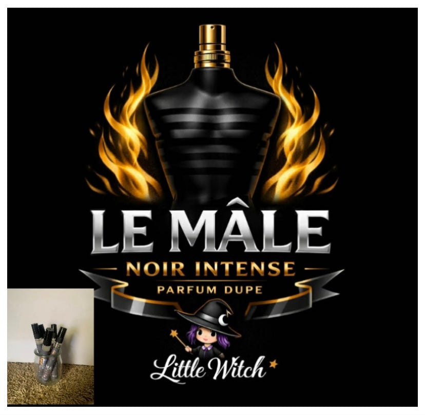 Parfum homme ( dupe le mâle intense noir )