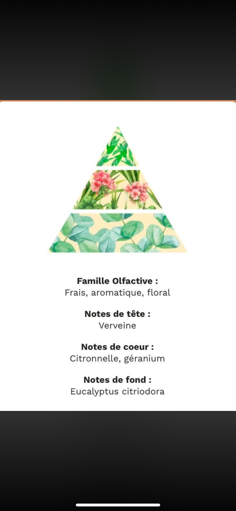 Sprays ambiance : citronnelle géranium